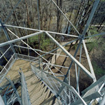 Birding Tower
